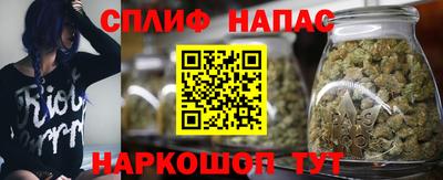 PSILOCYBIN Бугуруслан