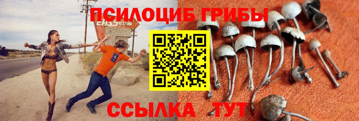 Тельмана  Псилоцибиновые грибы Magic Shrooms  Вход с VPN 