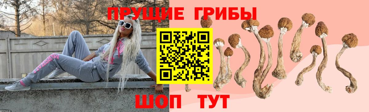 Псилоцибиновые грибы GOLDEN TEACHER Тельмана